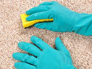 Water Damage Strikes People Homes | Hollywood Carpet Cleaning Water Damage Strikes People Homes | Hollywood Carpet Cleaning